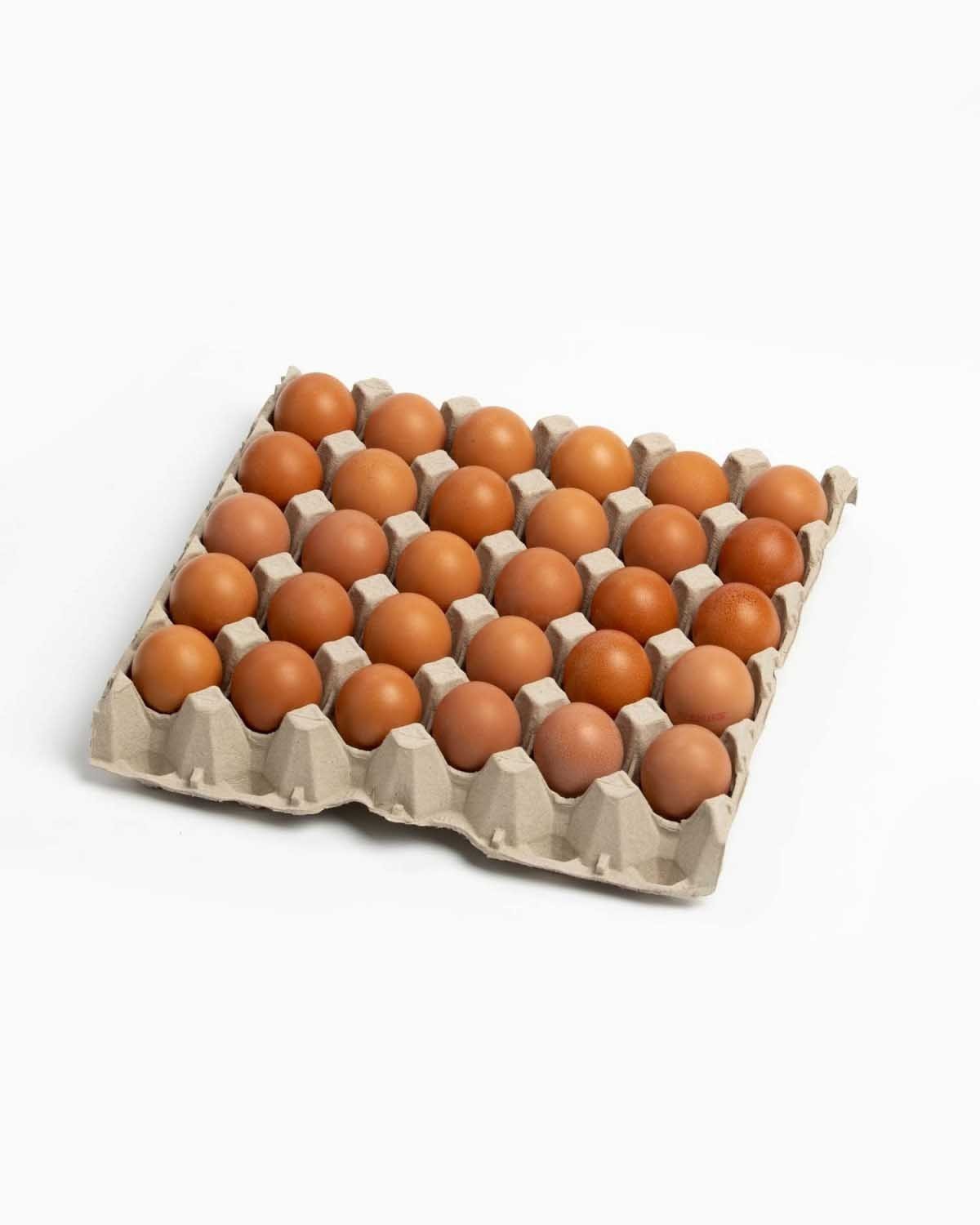 avance Simplificar Advertencia Recibe huevos frescos en tu casa de la máxima calidad