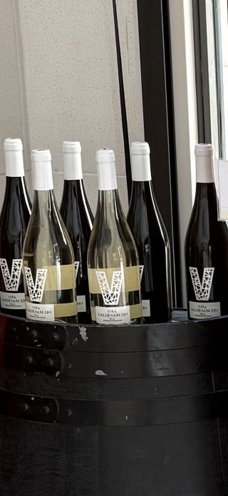 Vino blanco viña Valdesancho